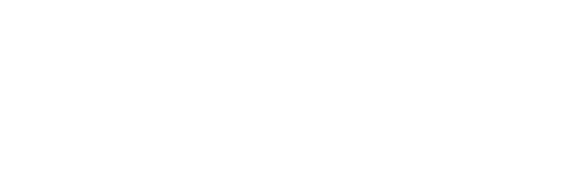 NN_Logo_Main_MonoWhite